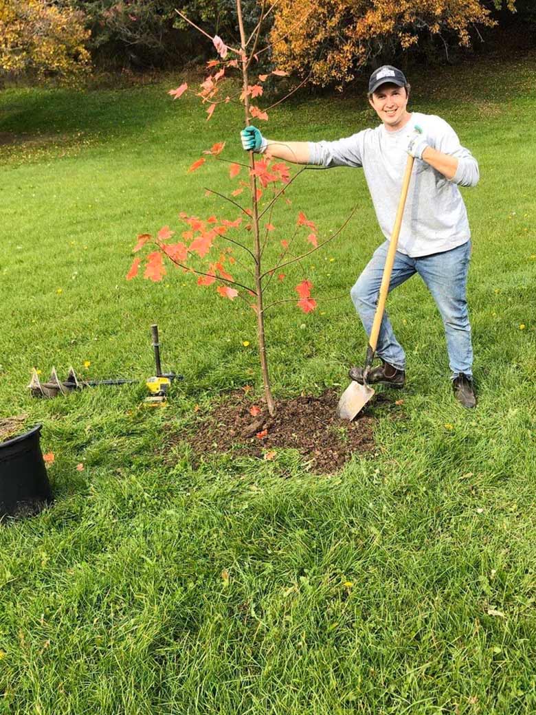 Tree Planting with Niagara Tree Company in Beamsville, ON