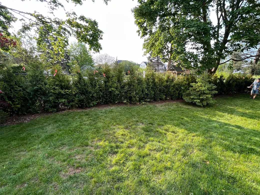 Tree Planting with Niagara Tree Company, Serving the Niagara Region