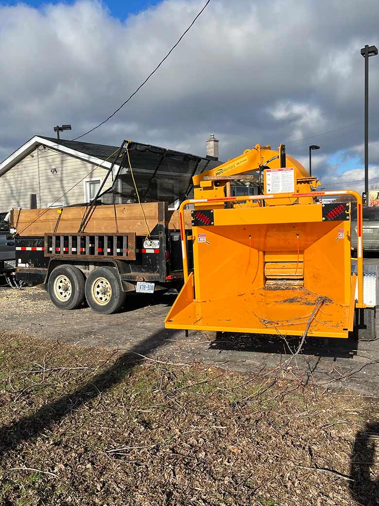 Tree Removal Company Serving the Niagara Region
